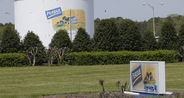 CORRECTION Virus Outbreak Virginia Poultry Farms