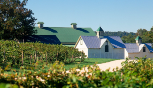 Boordy Vineyards 900