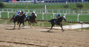 Ellie Victorina, ridden by Grant Whitacre, leads the pack in the second race of the day on Oct. 1, 2023, at Laurel Park. (Angel Gingras/Capital News Service)