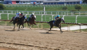 Ellie Victorina, ridden by Grant Whitacre, leads the pack in the second race of the day on Oct. 1, 2023, at Laurel Park. (Angel Gingras/Capital News Service)
