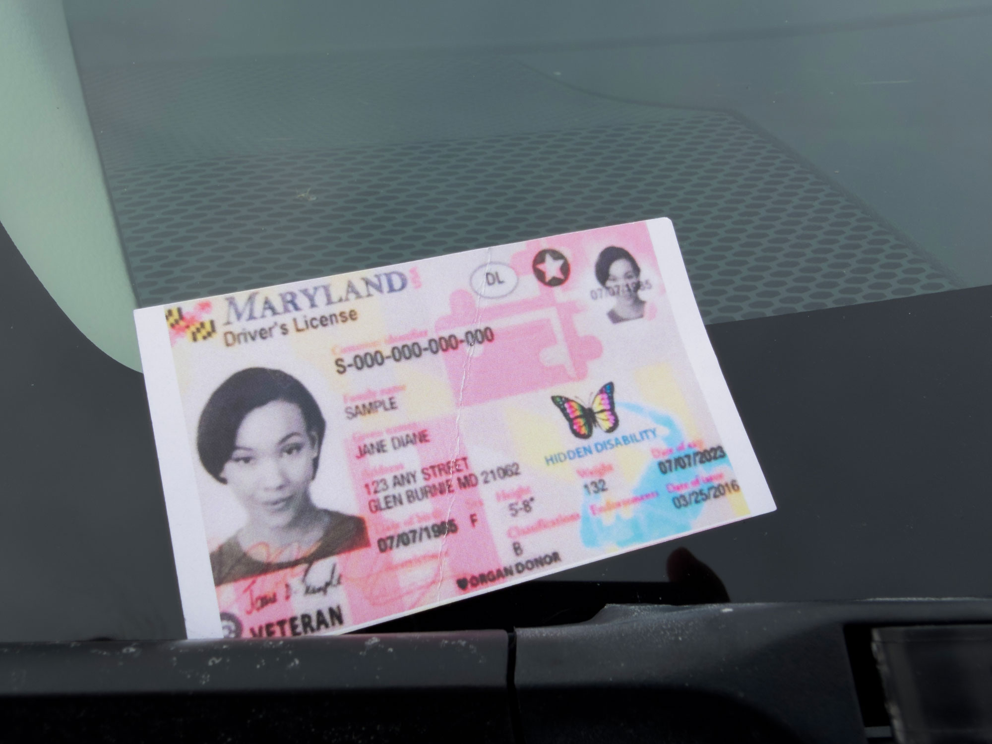 State-Ids.jpg