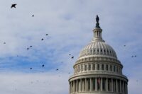 Birds fly past the U.S. Capitol building dome in Washington on Jan. 4, 2026. (REUTERS/Elizabeth Frantz/File Photo)