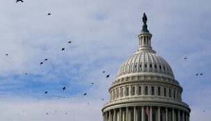 Birds fly past the U.S. Capitol building dome in Washington on Jan. 4, 2026. (REUTERS/Elizabeth Frantz/File Photo)