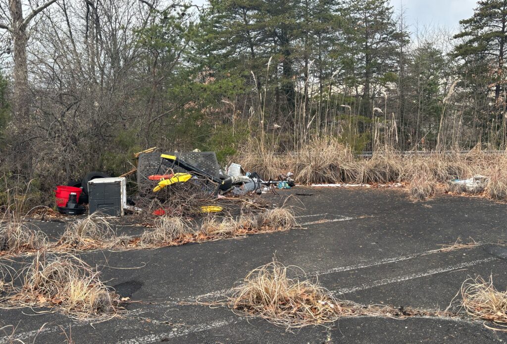 The former Landover Mall site, where a 90-acre data center complex has been proposed. (Lateshia Beachum/The Washington Post)