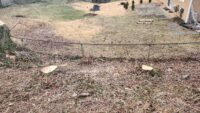 Trees were cut down on the plaintiff's property, as seen on Feb. 16, 2024. (Provided by Matt Skipper)
