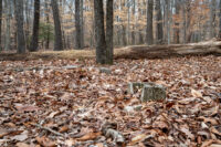 Rows of cinderblocks mark where an unknown number of boys are buried near the Cheltenham Youth Detention Center, formally known as the House of Reformation for Colored Boys, where an estimated 300 boys died. (Mira Beinart/Capital News Service)