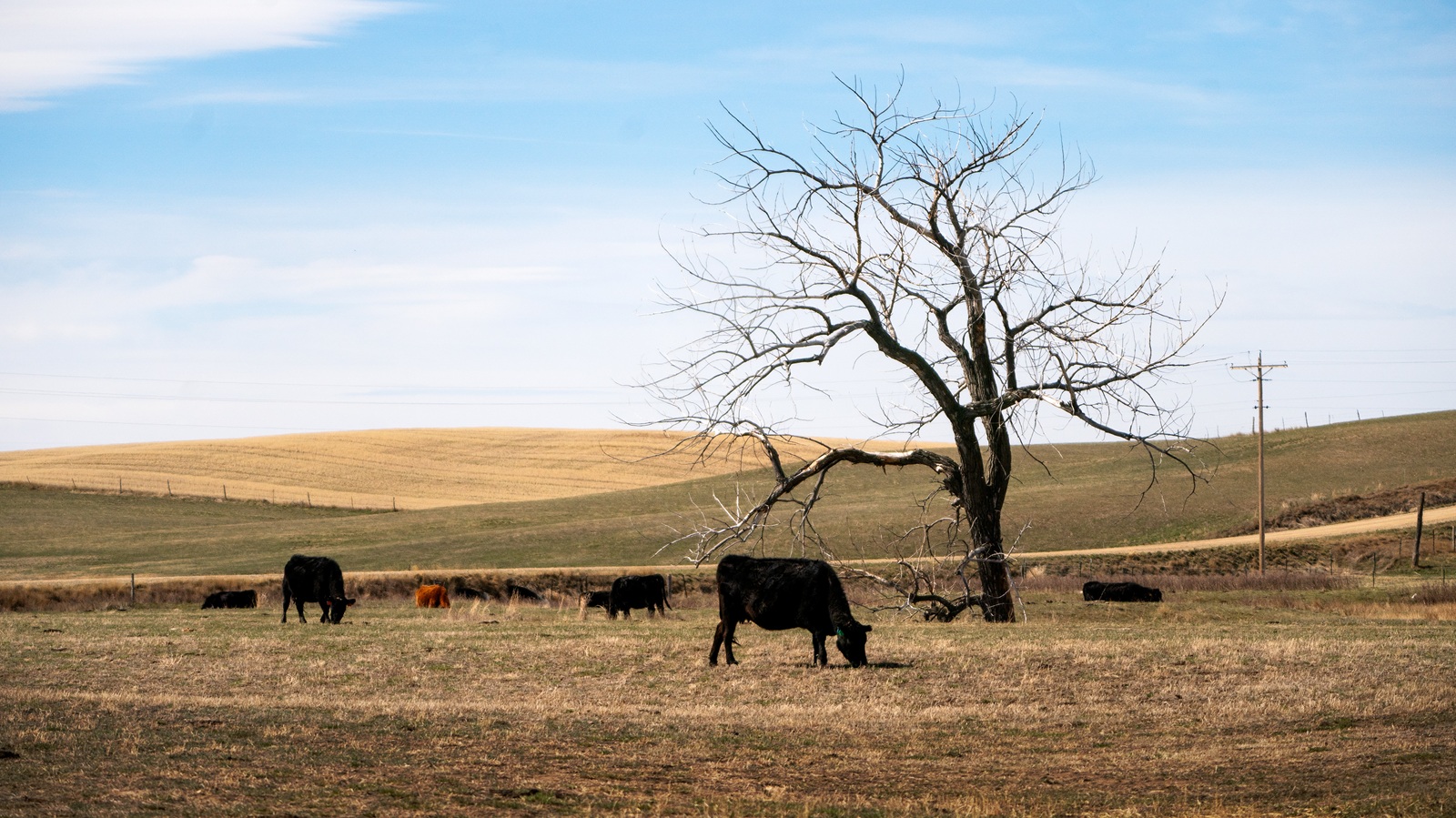 Most of US covered by drought, with MD and DC among worst affected