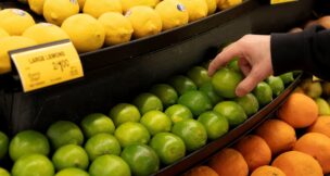A worker stocks limes ahead of the Thanksgiving Day holiday at an Albertsons supermarket in Redmond, Washington, on Nov. 24, 2025. (REUTERS/David Ryder)