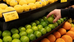 A worker stocks limes ahead of the Thanksgiving Day holiday at an Albertsons supermarket in Redmond, Washington, on Nov. 24, 2025. (REUTERS/David Ryder)
