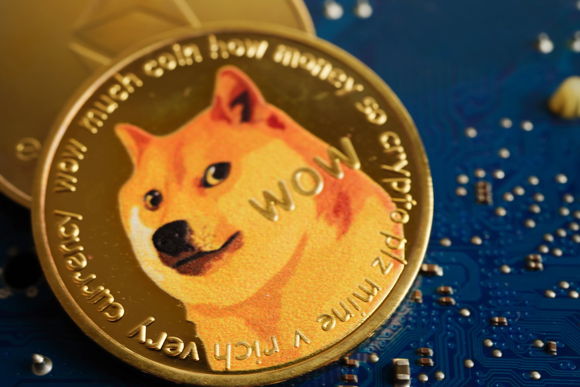thedailyrecord.com - Special to The Daily Record - How payment data connects Dogecoin transactions to business records
