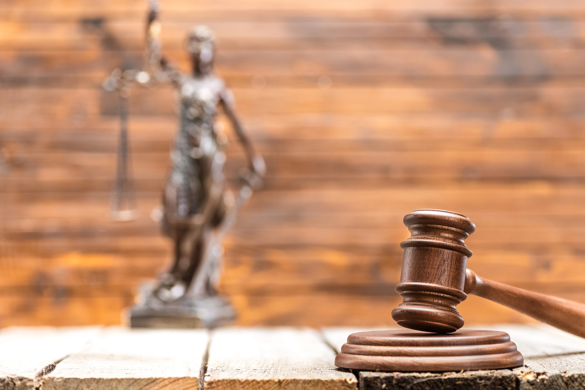 Michigan court remands order to terminate parental rights - Maryland Family Law